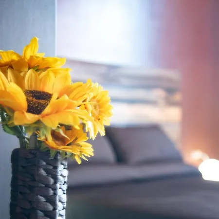 Appartement Il Fiore Di Gio *
